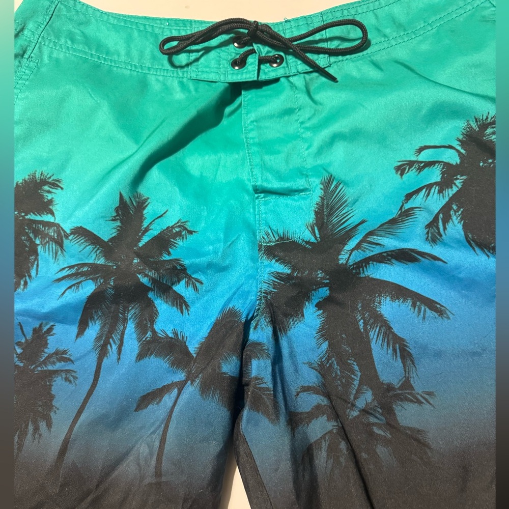 Hollister NWT size 32 swim trunks